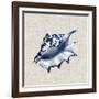 Ocean Memento IV-Vision Studio-Framed Art Print