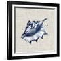 Ocean Memento IV-Vision Studio-Framed Art Print