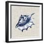 Ocean Memento IV-Vision Studio-Framed Art Print