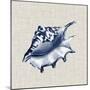 Ocean Memento IV-Vision Studio-Mounted Art Print