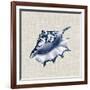 Ocean Memento IV-Vision Studio-Framed Art Print