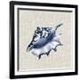 Ocean Memento IV-Vision Studio-Framed Art Print