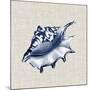 Ocean Memento IV-Vision Studio-Mounted Art Print