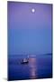 Ocean Moonrise-Steve Gadomski-Mounted Photographic Print