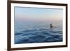 Ocean Mooring-Catherina Unger-Framed Giclee Print