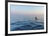 Ocean Mooring-Catherina Unger-Framed Giclee Print