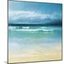 Ocean Movement II-Emily Robinson-Mounted Photographic Print