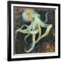 Ocean Octopus on Black-Danhui Nai-Framed Art Print