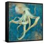 Ocean Octopus-Danhui Nai-Framed Stretched Canvas