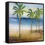 Ocean Palms II-Michael Marcon-Framed Stretched Canvas