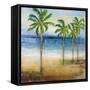 Ocean Palms II-Michael Marcon-Framed Stretched Canvas