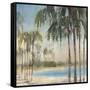 Ocean Palms IV-Joseph Cates-Framed Stretched Canvas