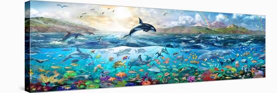 Ocean Panorama-Adrian Chesterman-Stretched Canvas