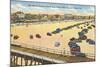 Ocean Pier, Daytona Beach, Florida-null-Mounted Premium Giclee Print