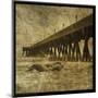 Ocean Pier No. 2-John W^ Golden-Mounted Art Print