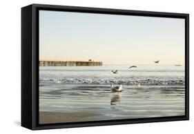 Ocean Pier-Karyn Millet-Framed Stretched Canvas