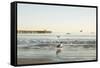 Ocean Pier-Karyn Millet-Framed Stretched Canvas