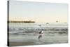 Ocean Pier-Karyn Millet-Stretched Canvas