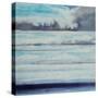 Ocean Reach-Joshua Schicker-Stretched Canvas