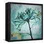 Ocean Rose 2-Albert Koetsier-Framed Stretched Canvas