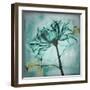 Ocean Rose 2-Albert Koetsier-Framed Art Print