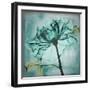 Ocean Rose 2-Albert Koetsier-Framed Art Print