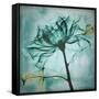 Ocean Rose 2-Albert Koetsier-Framed Stretched Canvas
