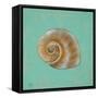 Ocean's Gift I-Tiffany Hakimipour-Framed Stretched Canvas