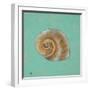 Ocean's Gift I-Tiffany Hakimipour-Framed Art Print