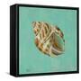 Ocean's Gift II-Tiffany Hakimipour-Framed Stretched Canvas