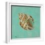 Ocean's Gift II-Tiffany Hakimipour-Framed Art Print