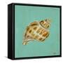 Ocean's Gift III-Tiffany Hakimipour-Framed Stretched Canvas