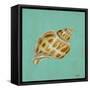 Ocean's Gift III-Tiffany Hakimipour-Framed Stretched Canvas