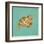 Ocean's Gift III-Tiffany Hakimipour-Framed Art Print