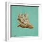 Ocean's Gift IV-Tiffany Hakimipour-Framed Art Print