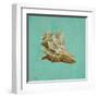 Ocean's Gift IV-Tiffany Hakimipour-Framed Art Print