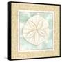 Ocean Sanddollar-Chariklia Zarris-Framed Stretched Canvas