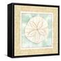 Ocean Sanddollar-Chariklia Zarris-Framed Stretched Canvas