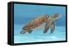 Ocean Sea Turtle I-Tim O'toole-Framed Stretched Canvas