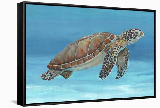 Ocean Sea Turtle I-Tim O'toole-Framed Stretched Canvas