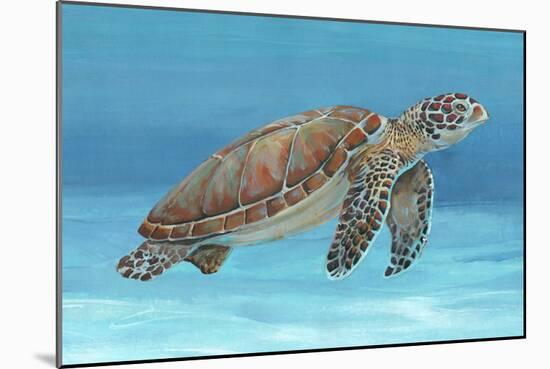 Ocean Sea Turtle I-Tim O'toole-Mounted Art Print