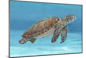 Ocean Sea Turtle I-Tim O'toole-Mounted Art Print