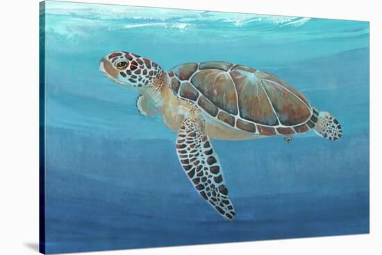 Ocean Sea Turtle II-Tim O'toole-Stretched Canvas