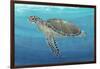 Ocean Sea Turtle II-Tim O'toole-Framed Art Print