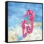 Ocean Seahorses-LuAnn Roberto-Framed Stretched Canvas