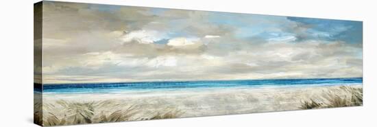 Ocean Serenity-Paul Duncan-Stretched Canvas