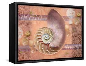 Ocean Shell-Bee Sturgis-Framed Stretched Canvas