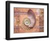 Ocean Shell-Bee Sturgis-Framed Art Print