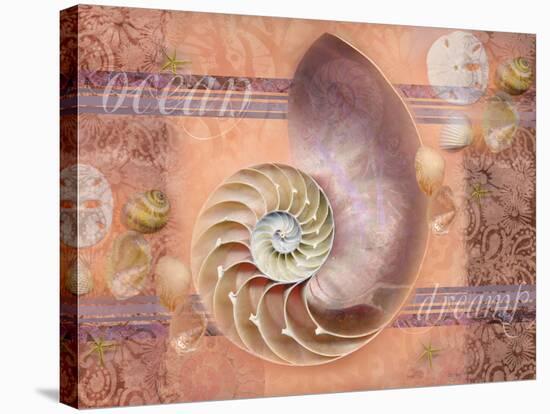 Ocean Shell-Bee Sturgis-Stretched Canvas