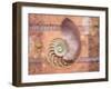 Ocean Shell-Bee Sturgis-Framed Art Print